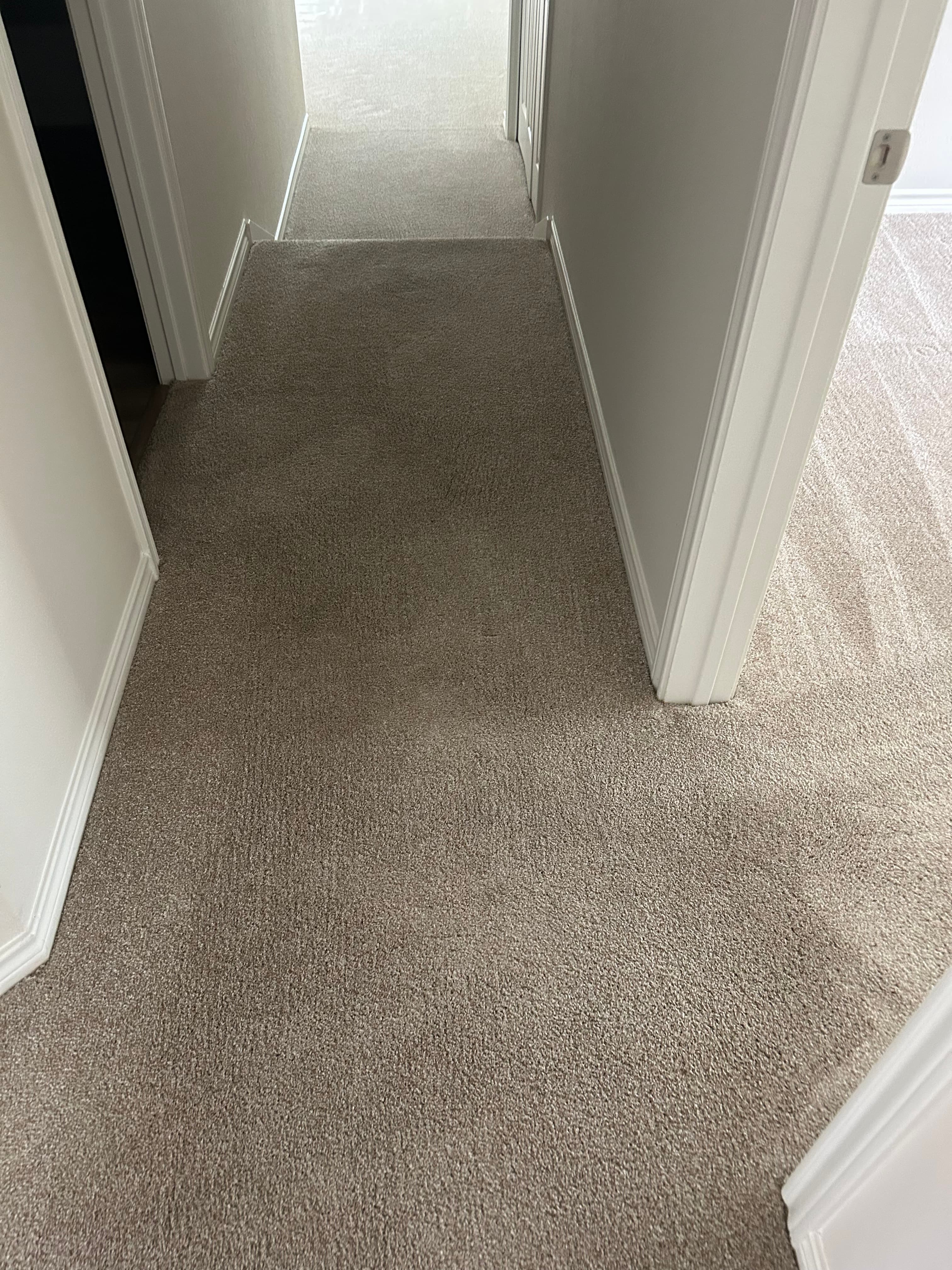 How Often Should You Professionally Clean Your Carpets — Austin Edition